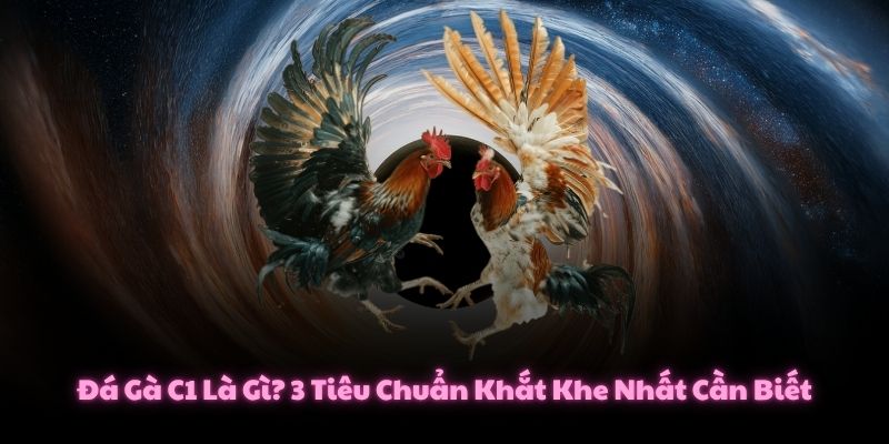 Đá Gà C1 Là Gì? 3 Tiêu Chuẩn Khắt Khe Nhất Cần Biết 1 Đá Gà C1 Là Gì? 3 Tiêu Chuẩn Khắt Khe Nhất Cần Biết